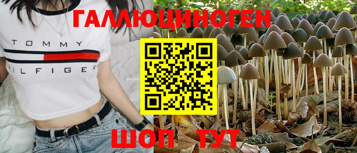 Галлюциногенные грибы ЛСД Осинники