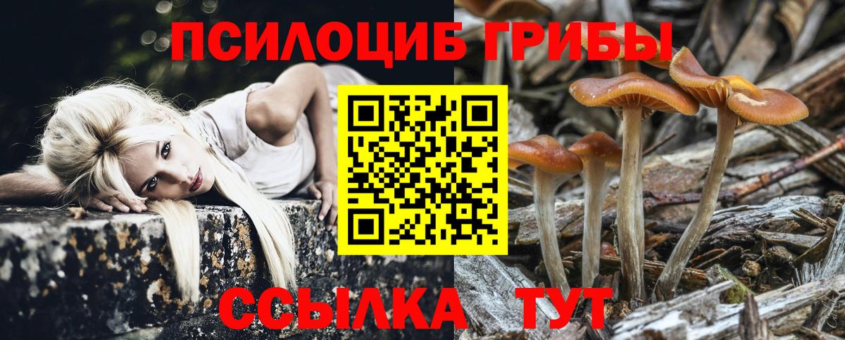 Галлюциногенные грибы мухоморы  Вход с VPN  Осинники 